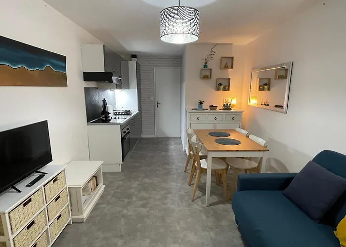 Confort Climatise Avec Wifi A 2mn A Pied De La Agde